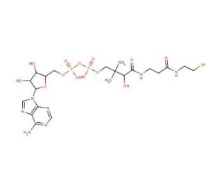 3&prime;-Dephosphocoenzyme A (CAS 3633-59-8) - chemical structure image