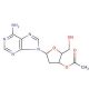 3′-O-Acetyl-2′-deoxyadenosine (CAS 6612-73-3) - chemical structure image