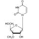 3′-O-Methyluridine (CAS 6038-59-1) - chemical structure image