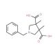 (3R,4S)-1-Benzyl-3,4-dimethylpyrrolidine-3,4-dicarboxylic acid - chemical structure image