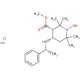 (3S,4S)-4-[(1R)-Phenylethylamino-3-methoxycarbonyl]-2,2,6,6-tetramethylpiperidine-1-oxyl Hydrochloride (CAS 583827-06-9) - ch