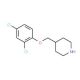 4-[(2,4-Dichlorophenoxy)methyl]piperidine - chemical structure image