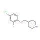 4-[(2,4-Difluorophenoxy)methyl]piperidinehydrochloride (CAS 614731-39-4) - chemical structure image