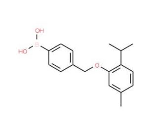 4-[(2-Isopropyl-5-methylphenoxy)methyl]phenylboronic acid (CAS 1072951-58-6) - chemical structure image