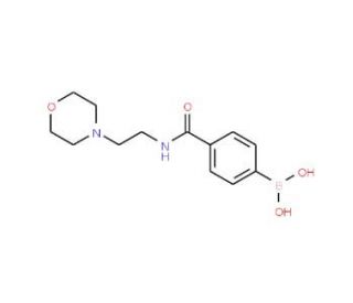 4-[(2-Morpholin-4-ylethyl)carbamoyl]benzeneboronic acid (CAS 913835-45-7) - chemical structure image
