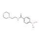 4-[(2-Morpholin-4-ylethyl)carbamoyl]benzeneboronic acid (CAS 913835-45-7) - chemical structure image