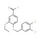 4-[(3,4-dichlorobenzyl)oxy]-3-ethoxybenzoyl chloride - chemical structure image