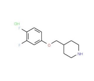 4-[(3,4-Difluorophenoxy)methyl]piperidinehydrochloride - chemical structure image