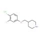 4-[(3,4-Difluorophenoxy)methyl]piperidinehydrochloride - chemical structure image