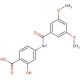 4-[(3,5-dimethoxybenzoyl)amino]-2-hydroxybenzoic acid (CAS 710311-03-8) - chemical structure image