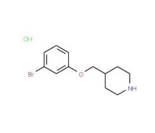 4-[(3-Bromophenoxy)methyl]piperidine hydrochloride - chemical structure image