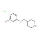 4-[(3-Bromophenoxy)methyl]piperidine hydrochloride - chemical structure image