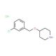 4-[(3-Chlorobenzyl)oxy]piperidine hydrochloride - chemical structure image