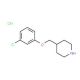 4-[(3-Chlorophenoxy)methyl]piperidine hydrochloride - chemical structure image