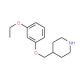 4-[(3-Ethoxyphenoxy)methyl]piperidine - chemical structure image