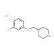 4-[(3-Fluorophenoxy)methyl]piperidinehydrochloride (CAS 614731-38-3) - chemical structure image