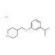 4-[(3-Isopropylphenoxy)methyl]piperidinehydrochloride - chemical structure image