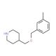 4-{[(3-Methylbenzyl)oxy]methyl}piperidine - chemical structure image