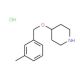 4-[(3-Methylbenzyl)oxy]piperidine hydrochloride - chemical structure image