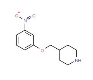 4-[(3-Nitrophenoxy)methyl]piperidine - chemical structure image