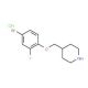 4-[(4-Bromo-2-fluorophenoxy)methyl]piperidine hydrochloride - chemical structure image