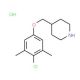 4-[(4-Chloro-3,5-dimethylphenoxy)methyl]piperidine hydrochloride - chemical structure image