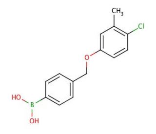 4-[(4-Chloro-3-methylphenoxy)methyl]phenylboronic acid (CAS 849052-25-1) - chemical structure image