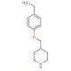 4-[(4-Ethylphenoxy)methyl]piperidine - chemical structure image