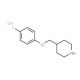 4-[(4-Fluorophenoxy)methyl]piperidine hydrochloride - chemical structure image