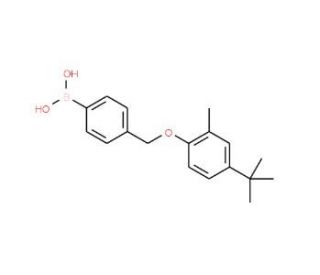 4-[(4-tert-Butyl-2-methylphenoxy)methyl]phenylboronic acid (CAS 1072951-67-7) - chemical structure image
