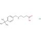 4-{[(4-tert-butylphenyl)methyl]amino}butanoic acid hydrochloride - chemical structure image