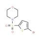 4-[(5-bromothien-2-yl)sulfonyl]morpholine - chemical structure image
