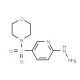 4-[(6-hydrazinopyridin-3-yl)sulfonyl]morpholine - chemical structure image