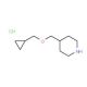 4-[(Cyclopropylmethoxy)methyl]piperidine hydrochloride - chemical structure image