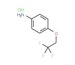 4-(2,2,2-trifluoroethoxy)aniline hydrochloride (CAS ) - chemical structure image