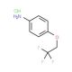 4-(2,2,2-trifluoroethoxy)aniline hydrochloride (CAS ) - chemical structure image