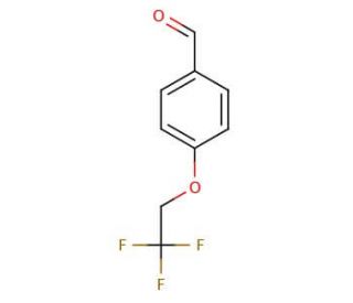 4-(2,2,2-trifluoroethoxy)benzaldehyde - chemical structure image