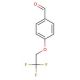 4-(2,2,2-trifluoroethoxy)benzaldehyde - chemical structure image