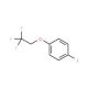 4-(2,2,2-Trifluoroethoxy)iodobenzene (CAS 530080-17-2) - chemical structure image