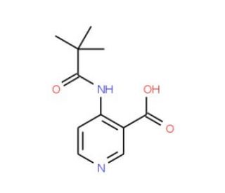 4-(2,2,2-Trimethylacetamido)nicotinic acid (CAS 125867-31-4) - chemical structure image