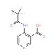 4-(2,2,2-Trimethylacetamido)nicotinic acid (CAS 125867-31-4) - chemical structure image