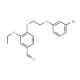 4-[2-(3-Bromo-phenoxy)-ethoxy]-3-ethoxy-benzaldehyde - chemical structure image