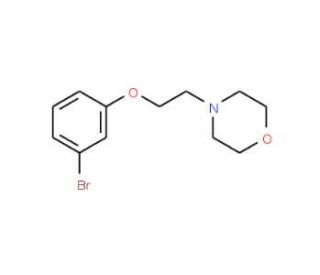 4-[2-(3-Bromophenoxy)ethyl]morpholine (CAS 435283-95-7) - chemical structure image