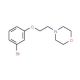 4-[2-(3-Bromophenoxy)ethyl]morpholine (CAS 435283-95-7) - chemical structure image