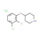 4-(2,3-Dichlorophenoxy)piperidine hydrochloride - chemical structure image