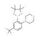 4-[2-(4,4,5,5-Tetramethyl-1,3,2-dioxaborolan-2-yl)-4-(trifluoromethyl)phenyl]morpholine (CAS 906352-77-0) - chemical structur