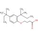 4-(2,4-Di-tert-pentylphenoxy)butyric acid (CAS 50772-35-5) - chemical structure image