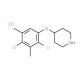 4-(2,4-Dichloro-3,5-dimethylphenoxy)piperidinehydrochloride - chemical structure image