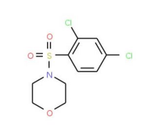 4-(2,4-Dichlorophenylsulfonyl)morpholine (CAS 74832-72-7) - chemical structure image