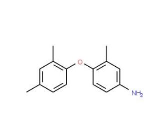 4-(2,4-Dimethylphenoxy)-3-methylaniline - chemical structure image